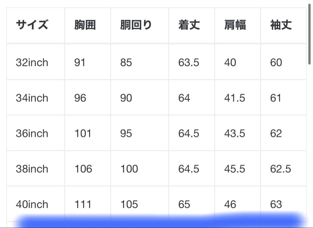 Lewis Leatherルイスレザー CORSAIR コルセア ライダース