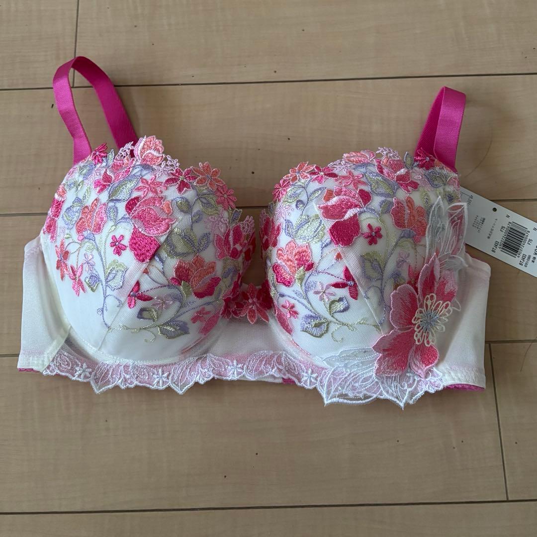 本日限定セール！ 希少サイズ！サルート おとめ座　F75 ブラ　&Tショーツ