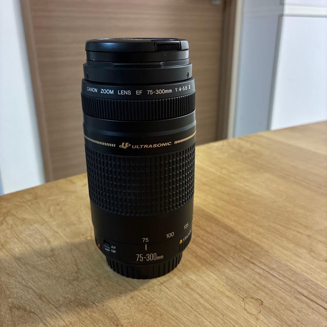 ◇超望遠&高速AF◇Canon純正 75-300mm II型 超望遠レンズ!!◇