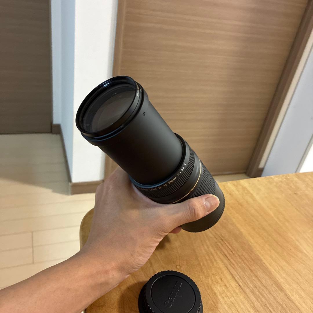 ◇超望遠&高速AF◇Canon純正 75-300mm II型 超望遠レンズ!!◇