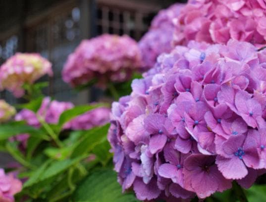 【箱付き】ネオ一眼　FINEPIX　HS30　FUJIFILM　富士フイルム