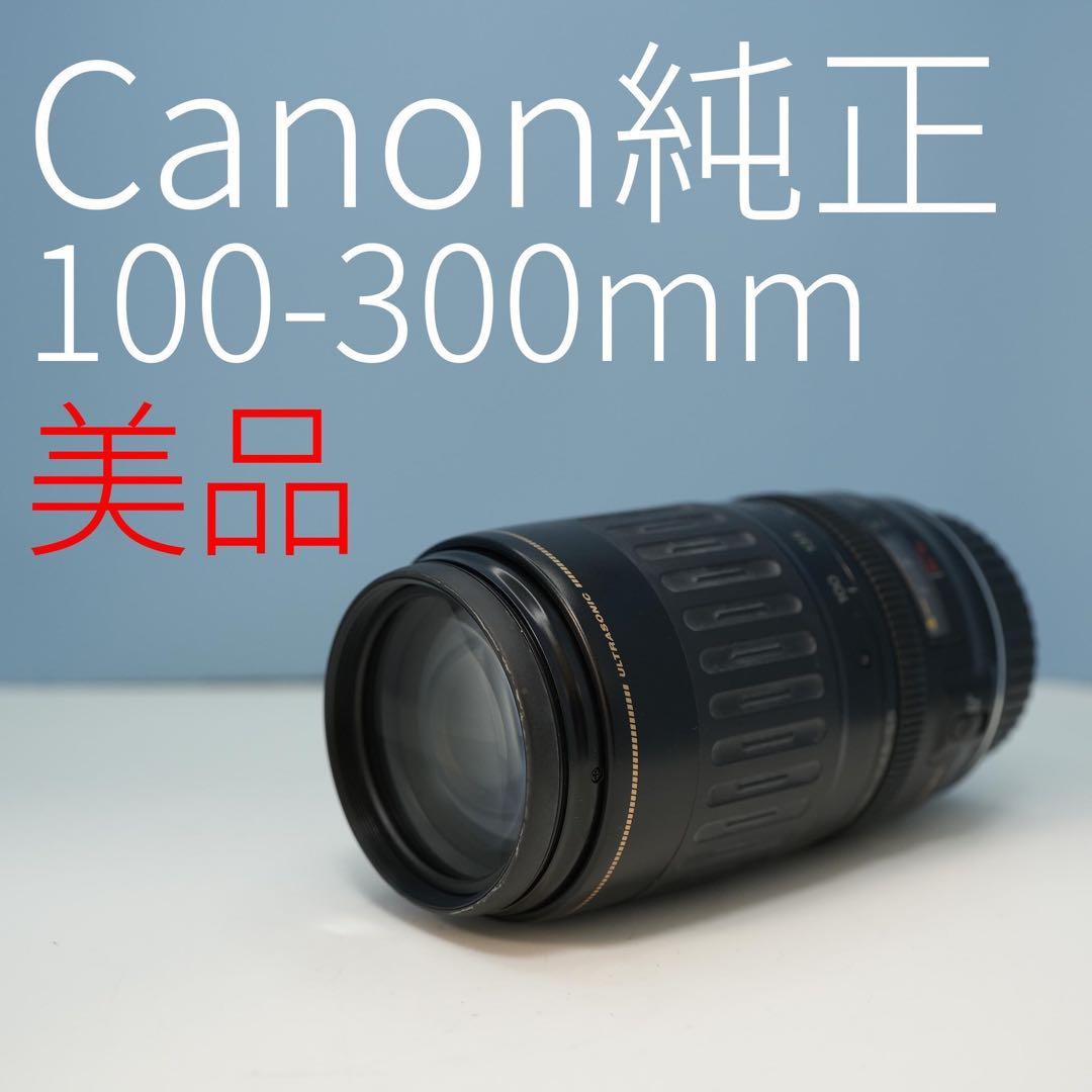 Canon純正 100-300mm 望遠レンズ 美品 a3475