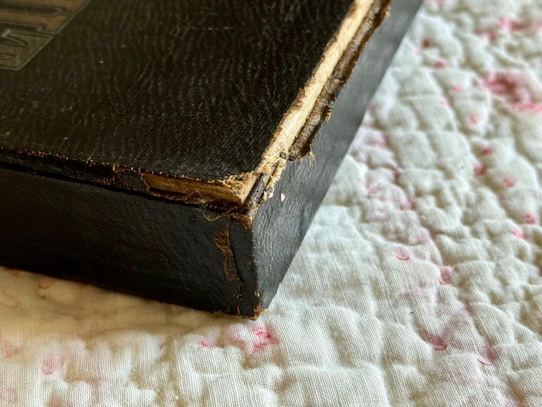 フランス　アンティーク＊BISCUITS GUILLOUT PARIS＊ボックス