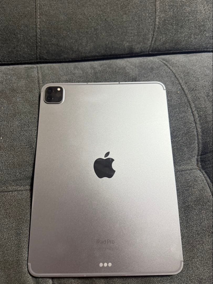 Apple iPad Pro 本体
