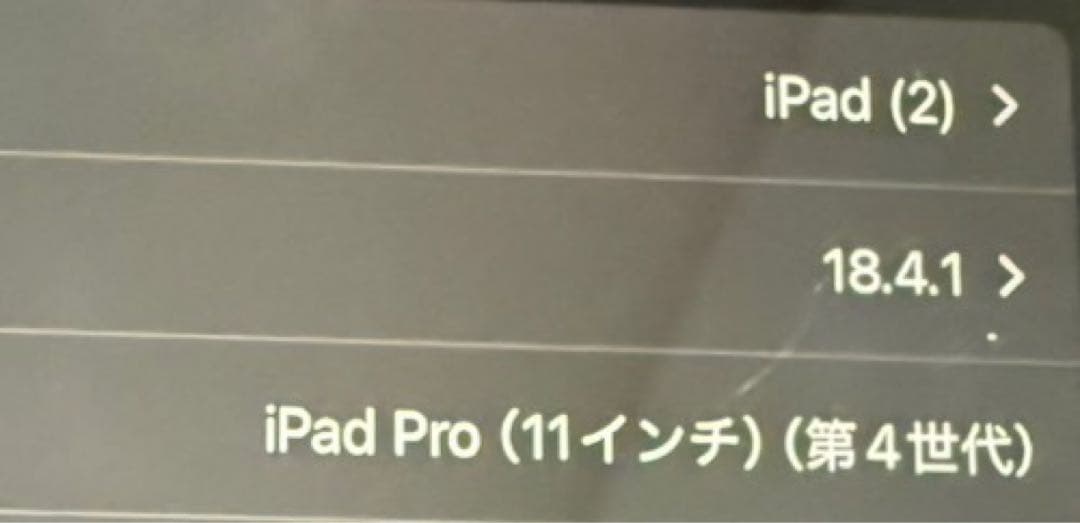 Apple iPad Pro 本体
