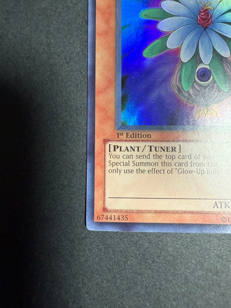 グローアップバルブ　ウルトラ　アルティメットレアレリーフ 1st Edition