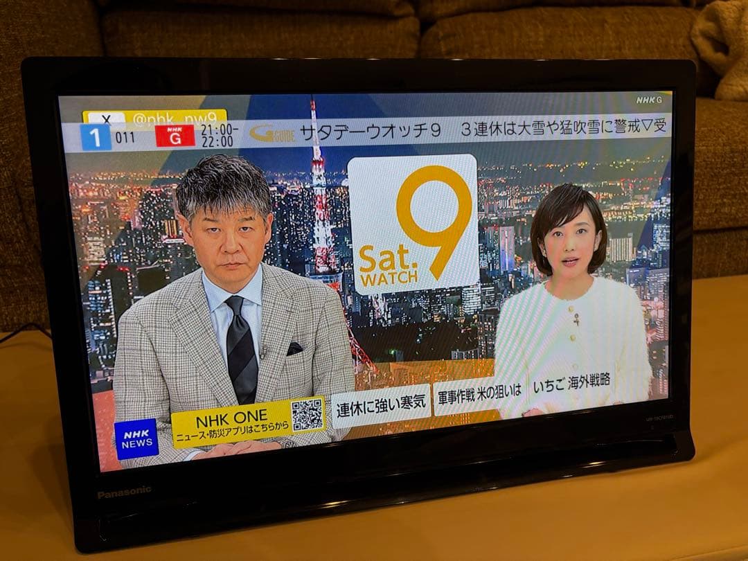 Panasonic　プライベートビエラ　UN-19CFB10D