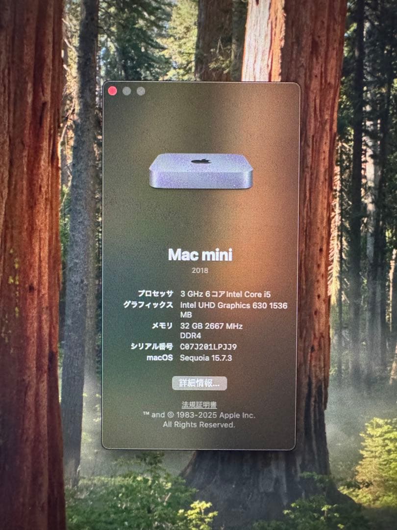 Macデスクトップ Mac mini 2018 | i5 | 32GB | 1TB