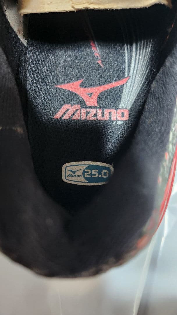 ミズノ　mizuno　WAVE PROPHECY Ｘ10 　サイズ２５cm