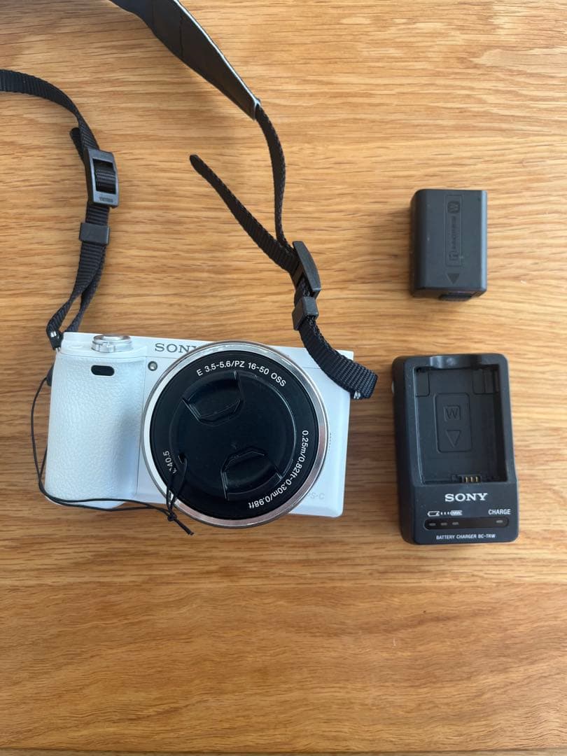 SONY ミラーレス一眼 a6000 ⭐️
