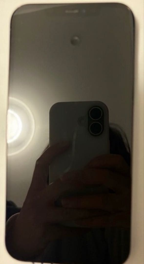 Apple iPhone 13 Pro MAX 本体