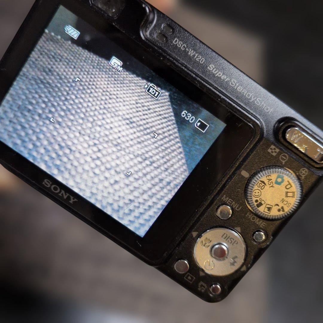 Sony Cyber-shot DSC-W170 コンパクトデジタルカメラ