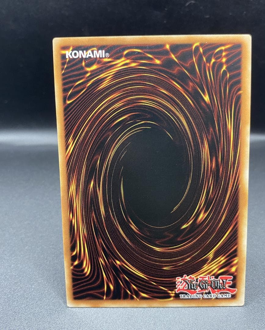 遊戯王 No.92 偽骸神龍 Heart-eartH Dragon 25TH