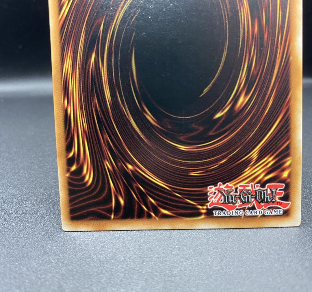 遊戯王 No.92 偽骸神龍 Heart-eartH Dragon 25TH