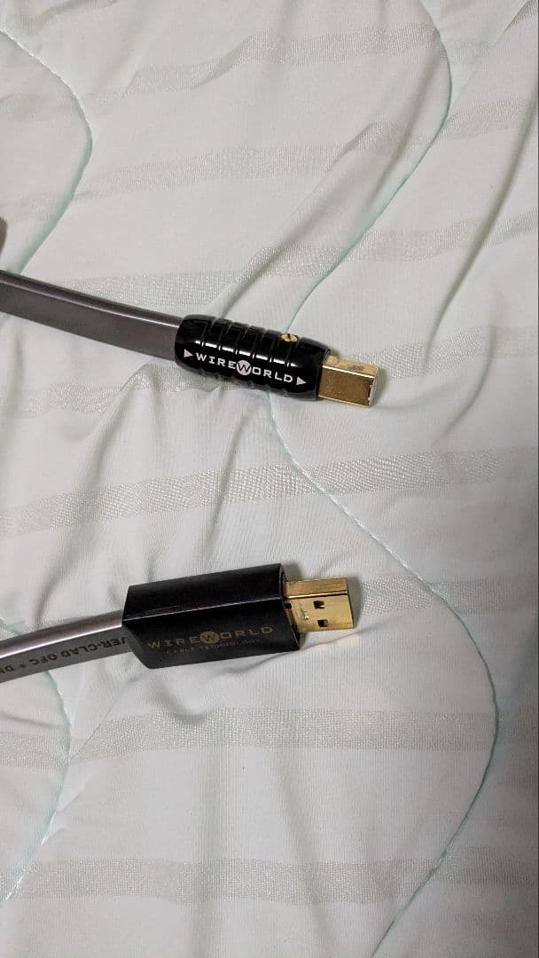 WIREWORLD Silver Starlight 7 USBケーブル