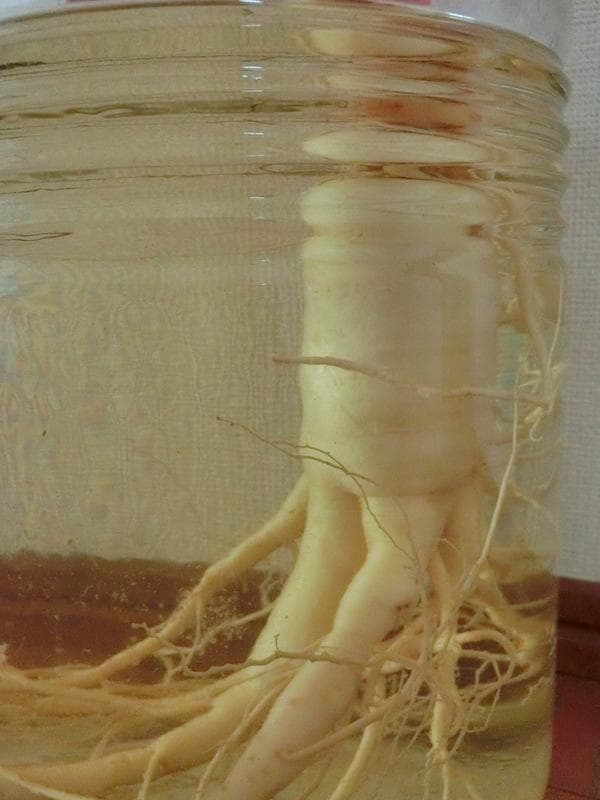 信州産★朝鮮人参酒（高麗人参酒）古酒　　8年根（165g）