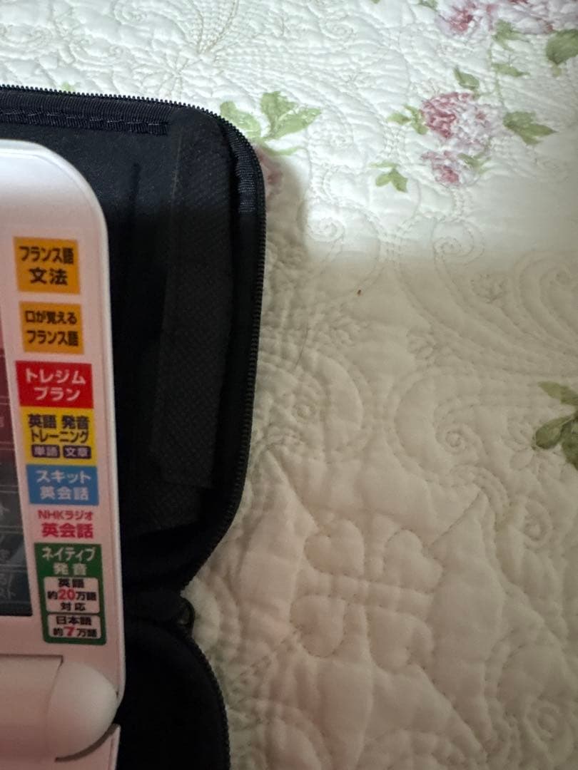 CASIO 電子辞書 EX-wordフランス語DATAPLUS10 ケース付