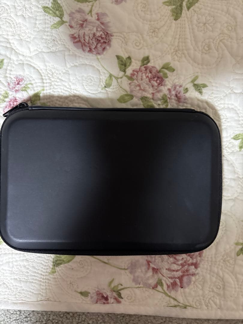 CASIO 電子辞書 EX-wordフランス語DATAPLUS10 ケース付