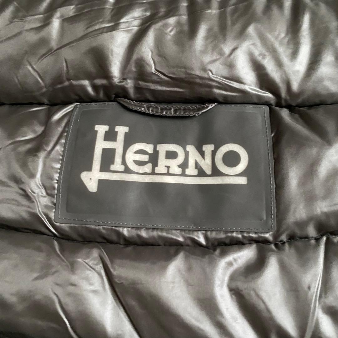 くみHerno ヘルノAMINTAアミンタ グレージュ ダウンジャケット