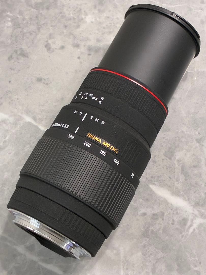 ⭐️外観美品⭐️SIGMA APO DG 70-300mm f4-5.6 キャノン用