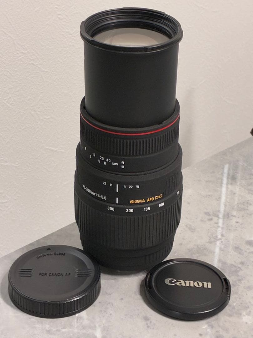 ⭐️外観美品⭐️SIGMA APO DG 70-300mm f4-5.6 キャノン用
