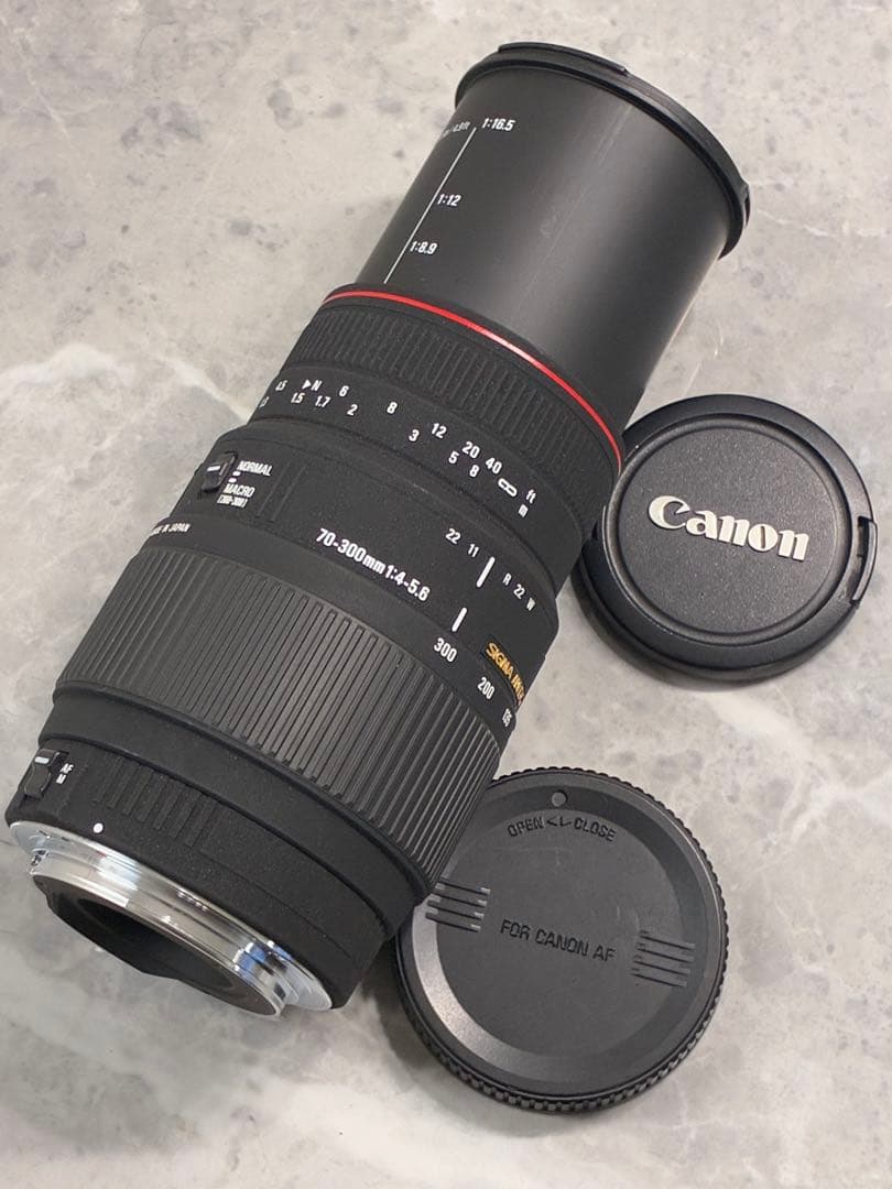 ⭐️外観美品⭐️SIGMA APO DG 70-300mm f4-5.6 キャノン用