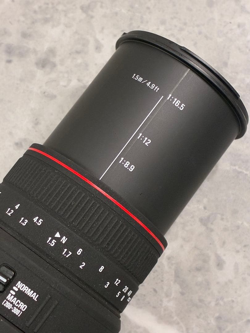 ⭐️外観美品⭐️SIGMA APO DG 70-300mm f4-5.6 キャノン用