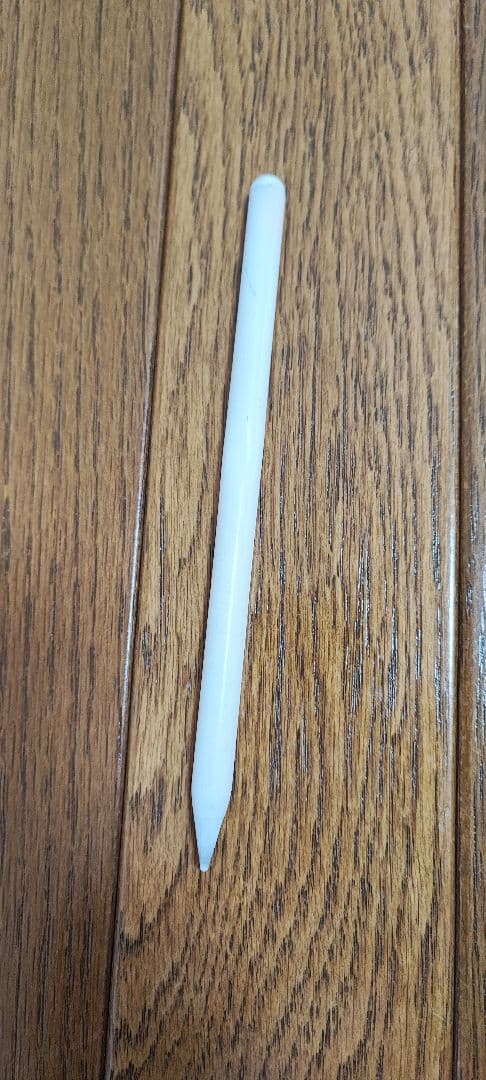 iPad Pro 11インチ 第1世代 64GB WiFi+Cellular