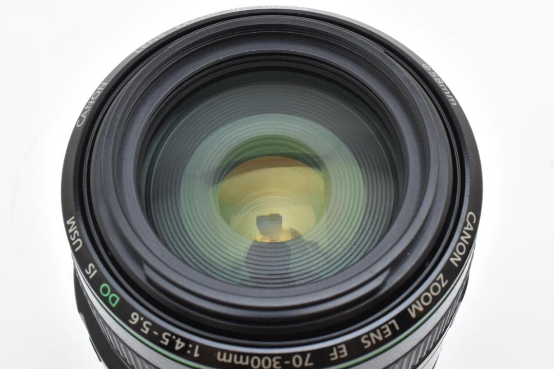 ★美品★キヤノン EF70-300mm f4.5-5.6 DO USM#1166