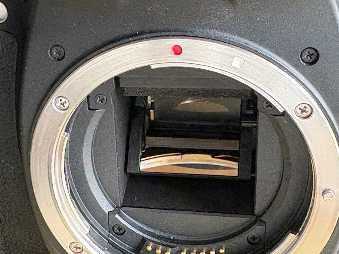 Canon 一眼レフカメラ EOS 80D レンズセット18-55 55-250