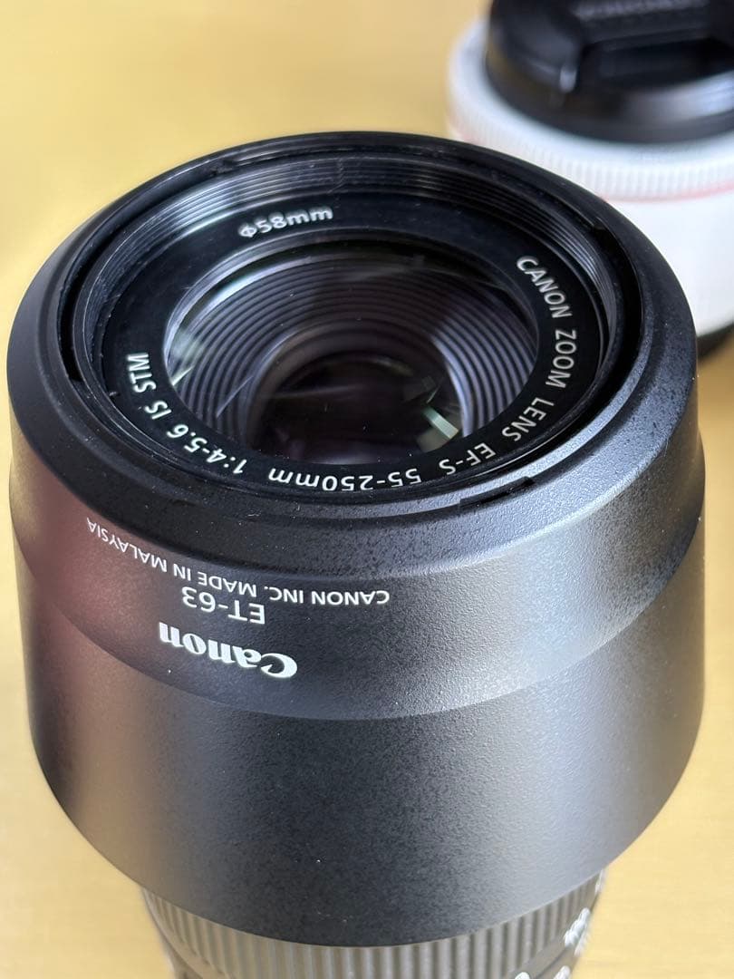 Canon 一眼レフカメラ EOS 80D レンズセット18-55 55-250