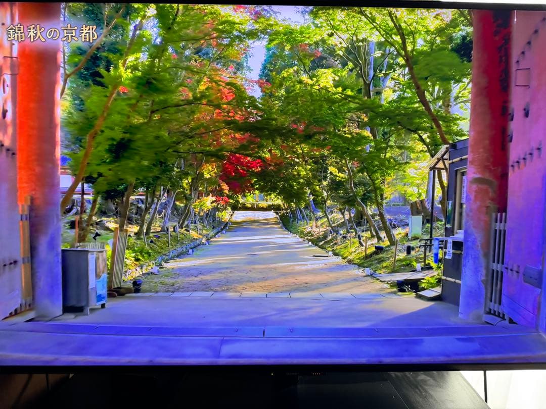 AQUOS 8K 8T-C60DW1 60V型 テレビ