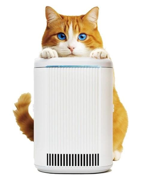 3年保証 猫にもやさしい脱臭除菌機「ブルーデオS にゃんこモデル」メーカー直仕入
