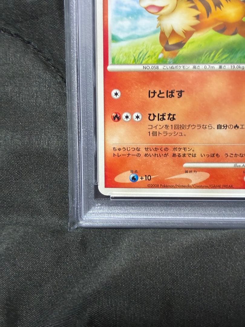 世界13枚 PSA10 ガーディ growlithe 2008 003