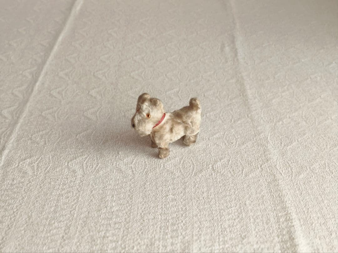 * vintage teria ❀ クリーム色の毛並みの テリアさん