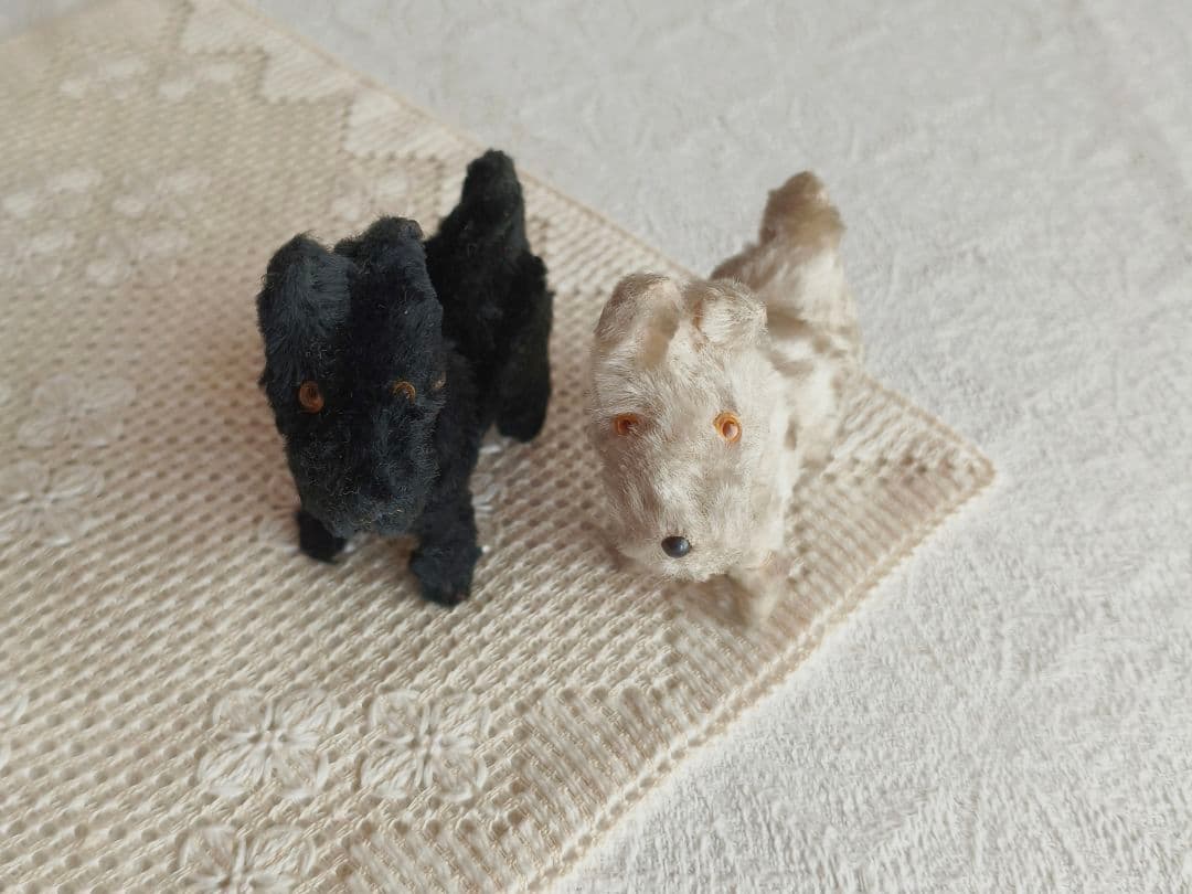 * vintage teria ❀ クリーム色の毛並みの テリアさん