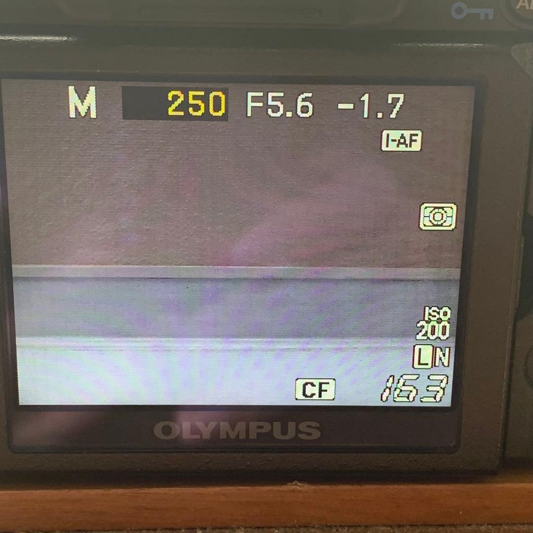 ジャンク オリンパス OLYMPUS E-620 壊れています