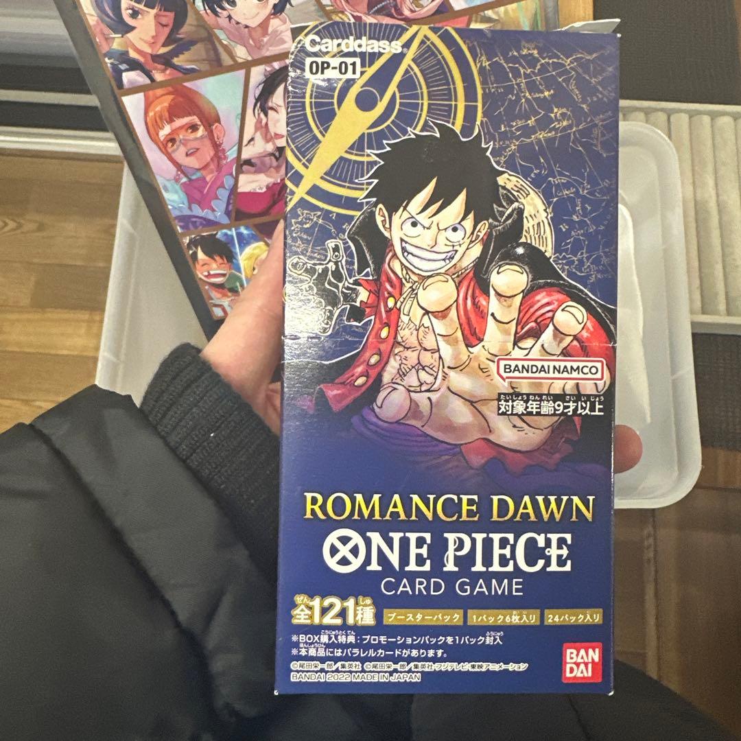 ONE PIECE ROMANCE DAWN ロマンスドーン