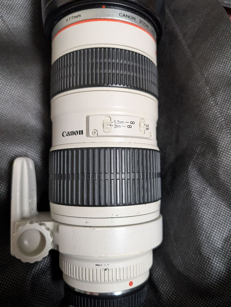 Canon EF 70-200mm f/2.8 ズームレンズ