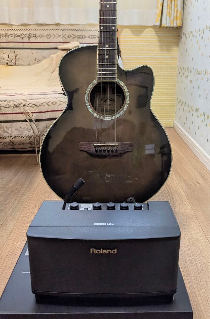 Rolandポータブルアンプ ARIAFET-CST SRエレアコギターのセット