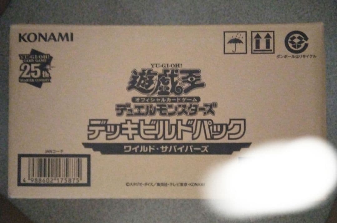 新品　未開封　未使用　カートン　ワイルドサバイバー　遊戯王　24BOX