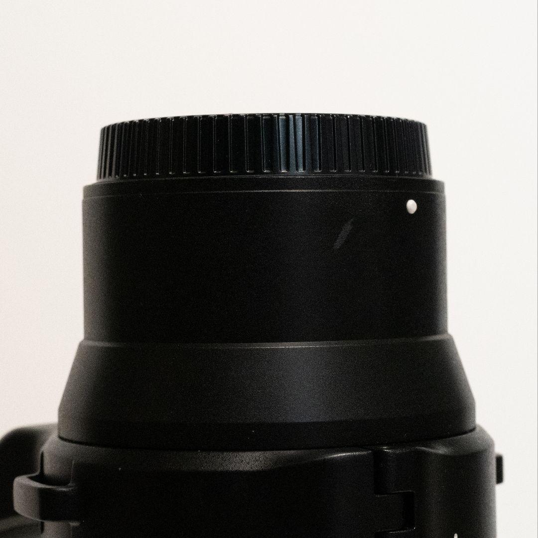 【純正フィルター付】NIKKOR Z180-600mm f/5.6-6.3 VR