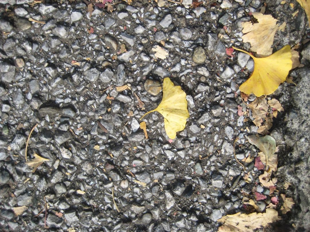 Canon IXY DIGITAL10 PC1228コンデジ デジカメ