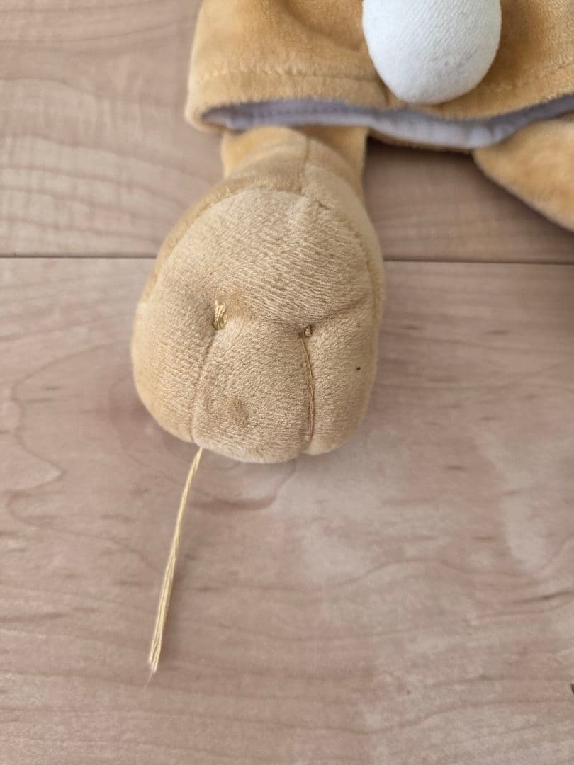 (美品)Zippy and Me セット　DWE