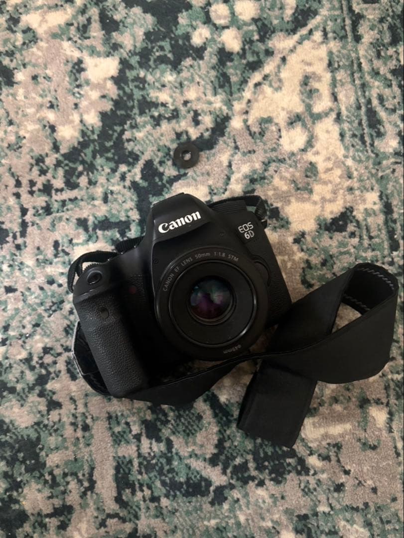 Canon EOS 6D+Canon EF 50mm f/1.8 レンズセット