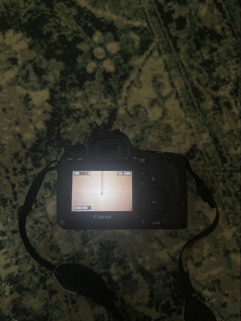 Canon EOS 6D+Canon EF 50mm f/1.8 レンズセット