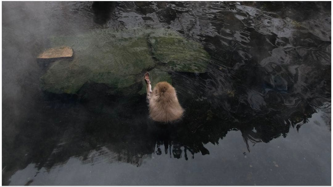 Canon EOS 6D+Canon EF 50mm f/1.8 レンズセット