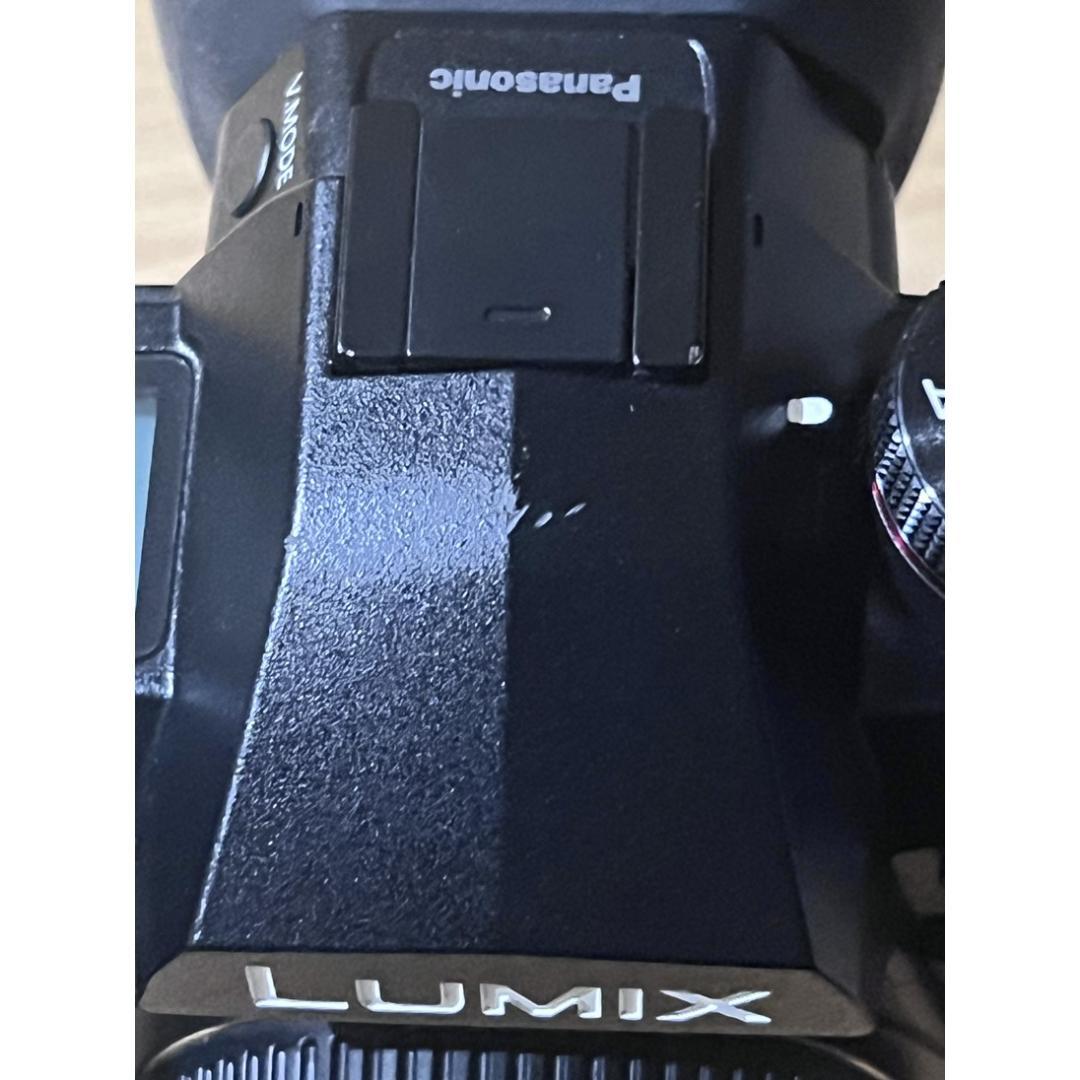 パナソニック LUMIX G9Pro ボディ vlog拡張＆専用リグ付