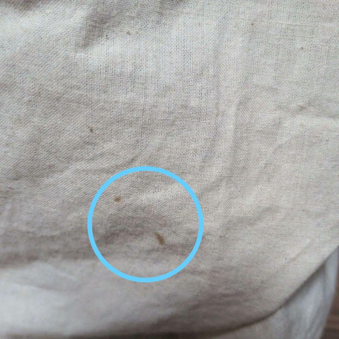 アラジン石油ストーブ　(純正のブルーフレームしん付き)