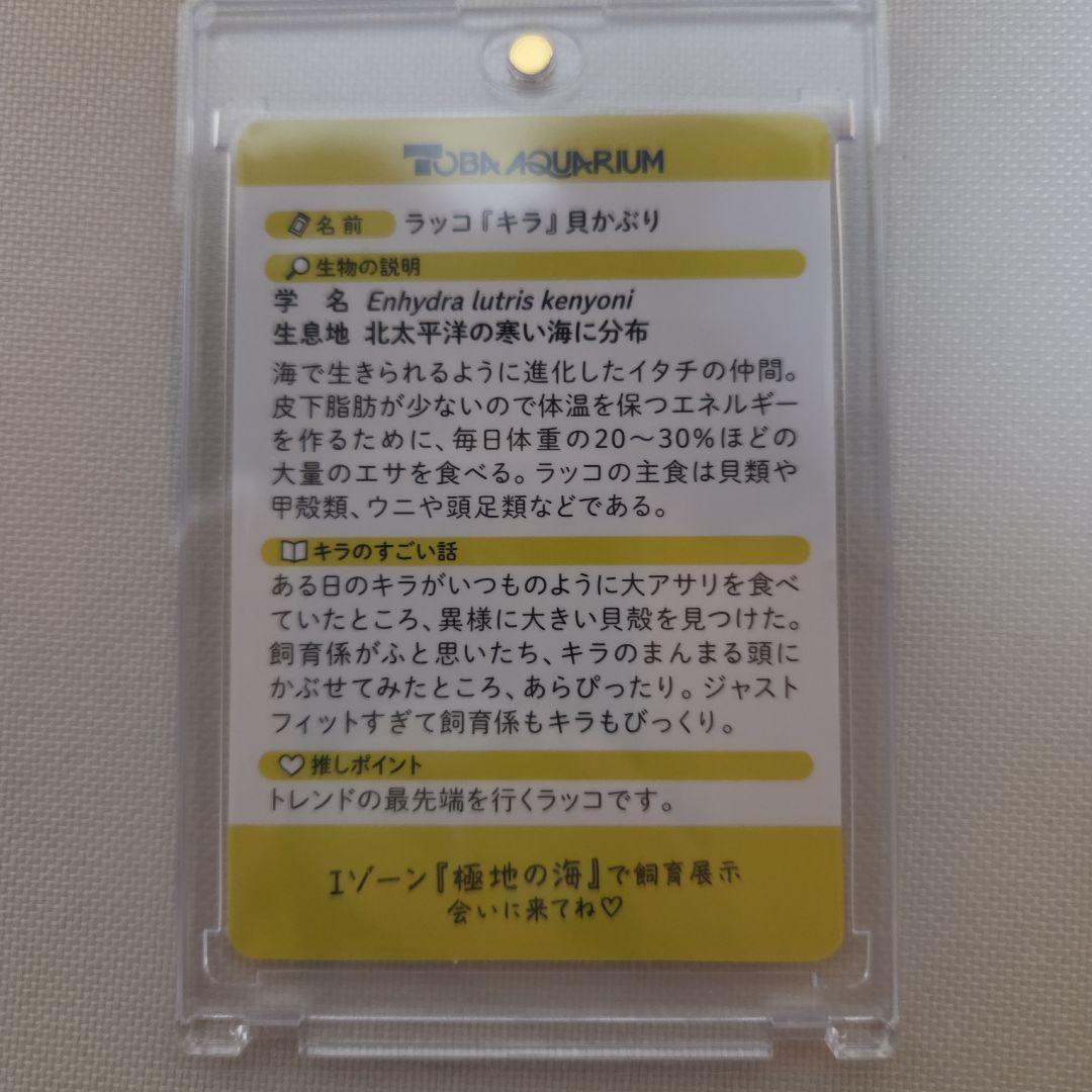 鳥羽水族館　コレクションカード　キラ　レア